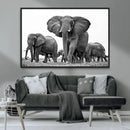 Black White Elephant Family Wall Art Canvas Print