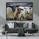 Charming Sheep Portrait Wall Art – Trio of Woolly Companions by MyGreatCanvas | Canvas Wall Art Prints | Photo Prints & Wall Decor