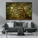 Ancient Angel Oak Tree Art Sunburst Canvas Print-