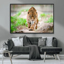 Leopard on the Prowl - Stunning Large Framed Leopard Wall