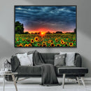 Golden Sunflower Field at Sunset – Breathtaking Sky and