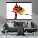 Cardinal Bird Canvas Wall Art - Male and Female Cardinal
