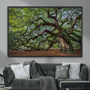Historic Tree Wall Art – Framed Mossy Branch Canvas Artwork, by MyGreatCanvas | Canvas Wall Art Prints | Photo Prints & Wall Decor