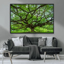 Ancient Tree Wall Art Canvas Print, Framed Sprawling by MyGreatCanvas | Canvas Wall Art Prints | Photo Prints & Wall Decor