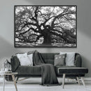 Ancient Oak Wall Art Canvas Print – Gnarled Tree Twisted by MyGreatCanvas | Canvas Wall Art Prints | Photo Prints & Wall Decor