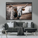 Texas Longhorn Wall Art Canvas Print – Framed Spotted Bull