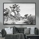 Joshua Tree Wall Art – Black & White Canvas Print, Nature by MyGreatCanvas | Canvas Wall Art Prints | Photo Prints & Wall Decor