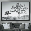 Joshua Tree Wall Art Canvas Print – Framed Black White