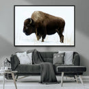 Bison Wall Art Canvas Print – Framed Western Wildlife