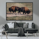 Bison Wall Art Canvas Print – Framed Western Wildlife Modern