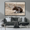 Texas Longhorn Wall Art Canvas Print – Framed Country Living