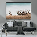 Elk Herd Wall Art Canvas Print – Framed Wildlife Photography