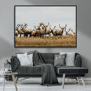 Elk Herd Wall Art Canvas Print – Framed Wildlife Photography