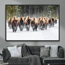 American Bison Herd Wall Art Canvas Print – Powerful Winter by MyGreatCanvas | Canvas Wall Art Prints | Photo Prints & Wall Decor