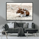 Majestic Longhorn Wall Art Canvas Print – Resting on Sunlit by MyGreatCanvas | Canvas Wall Art Prints | Photo Prints & Wall Decor