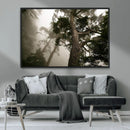 Misty Forest Canvas, Tall Trees Foggy Atmosphere Nature by MyGreatCanvas | Canvas Wall Art Prints | Photo Prints & Wall Decor
