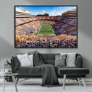 Tennessee Neyland Stadium Wall Art, Sports Arena Canvas by MyGreatCanvas | Canvas Wall Art Prints | Photo Prints & Wall Decor