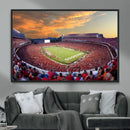 Dooley Stadium Wall Art, Sports Arena Canvas Print, Dooley by MyGreatCanvas | Canvas Wall Art Prints | Photo Prints & Wall Decor