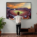 Dooley Stadium Wall Art, Sports Arena Canvas Print, Dooley