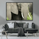 Wild Elephant Wall Art Canvas Print by MyGreatCanvas | Canvas Wall Art Prints | Photo Prints & Wall Decor