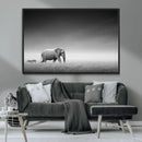 Elephand and Zebra Wall Art Canvas Print, Modern Artwork