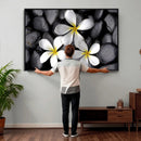 Plumeria Frangipani Black Stone Canvas | White Flower Spa by MyGreatCanvas | Canvas Wall Art Prints | Photo Prints & Wall Decor