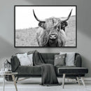 Newfoundland Cow Art Wall Art, Black White Cow Art Wall Art