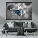 Blue Butterfly Black and White Canvas Wall Art by MyGreatCanvas | Canvas Wall Art Prints | Photo Prints & Wall Decor