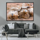 Lion Pair Wall Art Canvas Print – Framed Wildlife Scene with