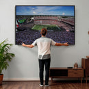 South Carolina Gamecocks Football Team Print - Columbia