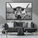 Texas Cow Longhorn Wall Art Canvas Print for Farm House Wall