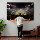 Eagles Field Stadium Wall Art - Philadelphia Eagles Football