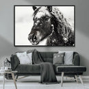 Framed Black and White Horse Wall Art | Ready to Hang and by MyGreatCanvas | Canvas Wall Art Prints | Photo Prints & Wall Decor