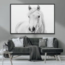 Majestic White Horse Wall Art | Ready to Hang and Framed |