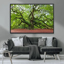 Framed Angel Oak Tree Wall Art - 3-Panel Canvas Prints, by MyGreatCanvas | Canvas Wall Art Prints | Photo Prints & Wall Decor