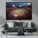 Ohio State University Buckeyes Football Team Print -