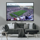 The Texas Christian University TCU Horned Frogs Football