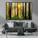 Sunlit Forest Wall Art Canvas Print – Large Framed Woodland