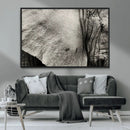 Elephant Wall Art Canvas Print