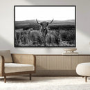 Black and White Highland Cow Canvas Wall Art, Longhorn by MyGreatCanvas | Canvas Wall Art Prints | Photo Prints & Wall Decor