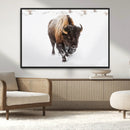 Bison Winter Wall Art Canvas Print For Farmhouse Decor
