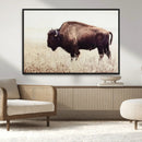 Bison in Field Wall Art Canvas Print For Farmhouse Barn