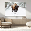Bison Wall Art Canvas Print For Farmhouse, Animal Canvas