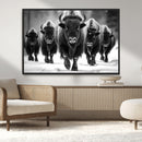 American Bison Art | Buffalo Herd Wall Art Canvas Print, BW