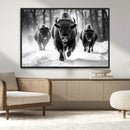 Buffalo Wall Art Canvas Print, Bison Family Wall Art Canvas by MyGreatCanvas | Canvas Wall Art Prints | Photo Prints & Wall Decor