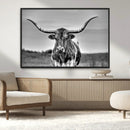 Texas Longhorn Cow Wall Art, Texas Longhorn Canvas, Cattle
