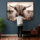 Scottish Cow Longhorn Wall Art Canvas Print