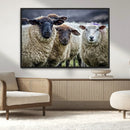 Charming Sheep Portrait Wall Art – Trio of Woolly Companions by MyGreatCanvas | Canvas Wall Art Prints | Photo Prints & Wall Decor
