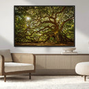 Ancient Angel Oak Tree Art Sunburst Canvas Print-