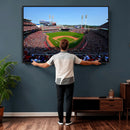 Cincinnati Reds Baseball Canvas Print - American Ball